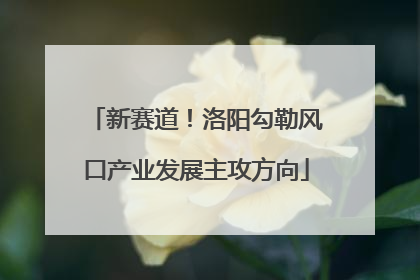 新赛道！洛阳勾勒风口产业发展主攻方向