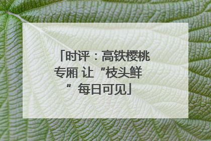 时评：高铁樱桃专厢 让“枝头鲜”每日可见