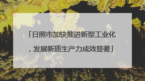 日照市加快推进新型工业化，发展新质生产力成效显著