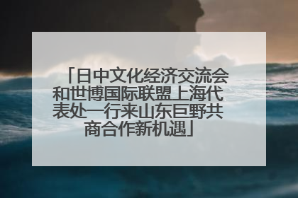 日中文化经济交流会和世博国际联盟上海代表处一行来山东巨野共商合作新机遇