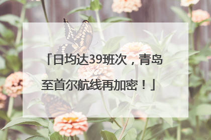 日均达39班次，青岛至首尔航线再加密！