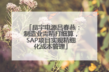 昆宇电源吕春燕：制造业需精打细算，SAP项目实现精细化成本管理