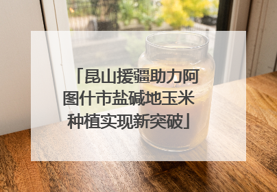 昆山援疆助力阿图什市盐碱地玉米种植实现新突破