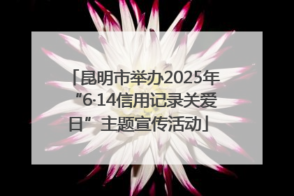 昆明市举办2025年“6·14信用记录关爱日”主题宣传活动