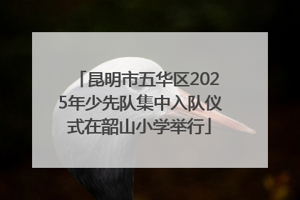 昆明市五华区2025年少先队集中入队仪式在韶山小学举行