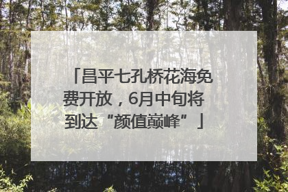 昌平七孔桥花海免费开放，6月中旬将到达“颜值巅峰”