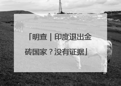 明查｜印度退出金砖国家？没有证据