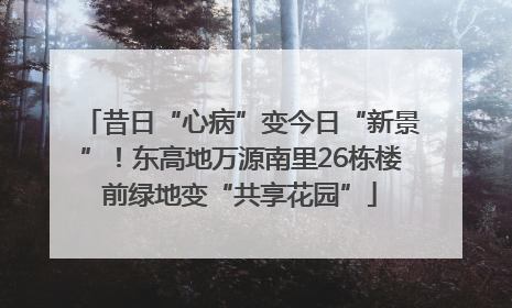 昔日“心病”变今日“新景”！东高地万源南里26栋楼前绿地变“共享花园”
