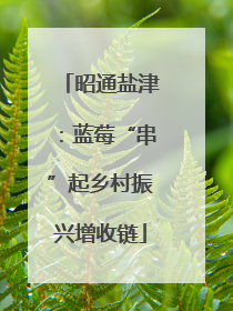 昭通盐津：蓝莓“串”起乡村振兴增收链