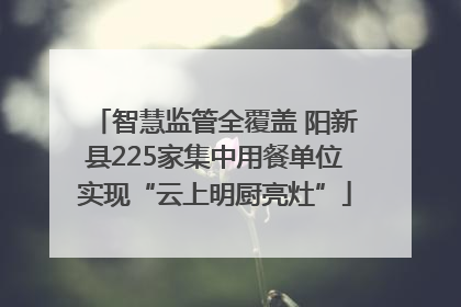 智慧监管全覆盖 阳新县225家集中用餐单位实现“云上明厨亮灶”