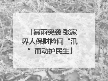 暴雨突袭 张家界人保财险闻“汛”而动护民生