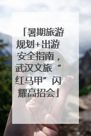 暑期旅游规划+出游安全指南，武汉文旅“红马甲”闪耀高招会