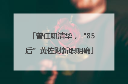曾任职清华，“85后”黄佐财新职明确