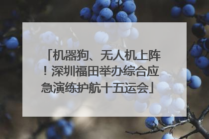 机器狗、无人机上阵！深圳福田举办综合应急演练护航十五运会