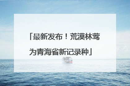 最新发布！荒漠林莺为青海省新记录种