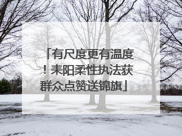 有尺度更有温度！耒阳柔性执法获群众点赞送锦旗