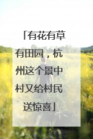 有花有草有田园，杭州这个景中村又给村民送惊喜