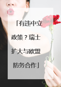 有违中立政策？瑞士扩大与欧盟防务合作