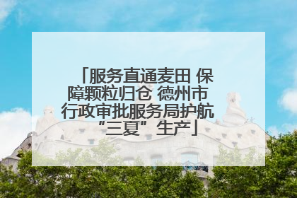 服务直通麦田 保障颗粒归仓 德州市行政审批服务局护航“三夏”生产
