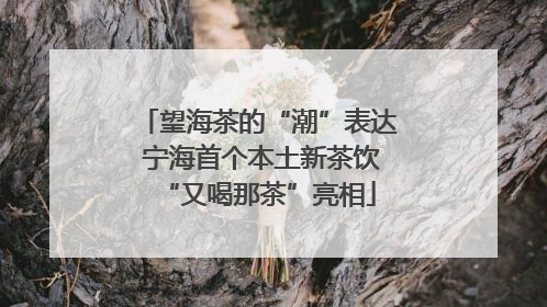望海茶的“潮”表达 宁海首个本土新茶饮“又喝那茶”亮相