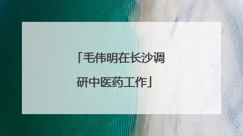毛伟明在长沙调研中医药工作