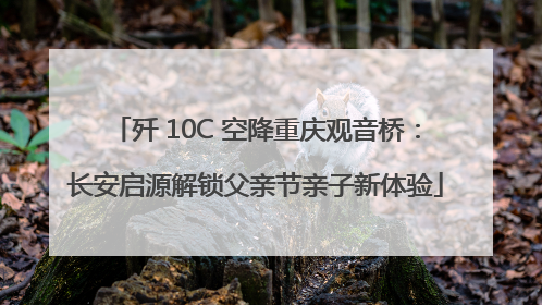 歼 10C 空降重庆观音桥：长安启源解锁父亲节亲子新体验