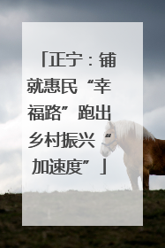 正宁：铺就惠民“幸福路”跑出乡村振兴“加速度”