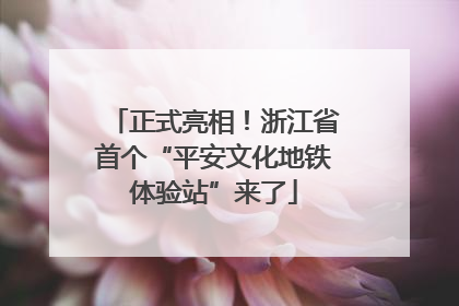 正式亮相！浙江省首个“平安文化地铁体验站”来了