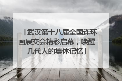 武汉第十八届全国连环画展交会精彩启幕，唤醒几代人的集体记忆
