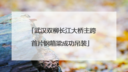 武汉双柳长江大桥主跨首片钢箱梁成功吊装