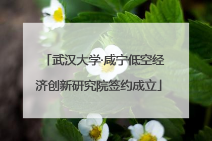 武汉大学·咸宁低空经济创新研究院签约成立