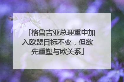 格鲁吉亚总理重申加入欧盟目标不变，但欲先重塑与欧关系