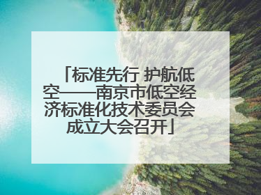 标准先行 护航低空——南京市低空经济标准化技术委员会成立大会召开