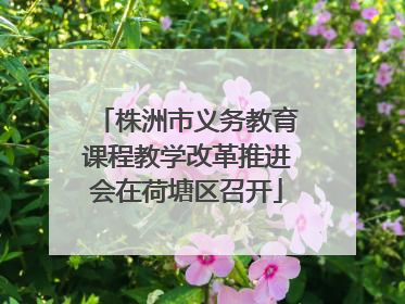 株洲市义务教育课程教学改革推进会在荷塘区召开