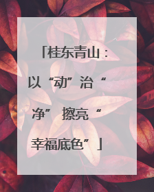 桂东青山：以“动”治“净” 擦亮“幸福底色”