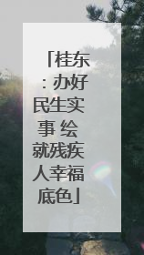 桂东：办好民生实事 绘就残疾人幸福底色