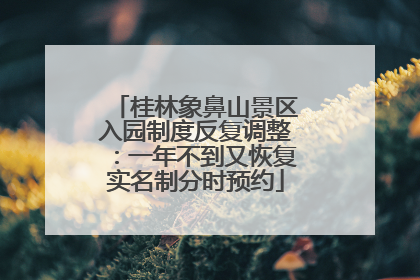 桂林象鼻山景区入园制度反复调整：一年不到又恢复实名制分时预约