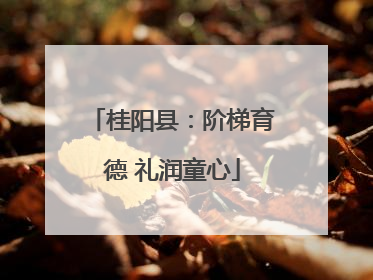 桂阳县:阶梯育德 礼润童心
