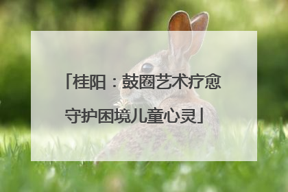 桂阳：鼓圈艺术疗愈守护困境儿童心灵