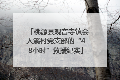 桃源县观音寺镇会人溪村党支部的“48小时”救援纪实