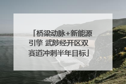 桥梁动脉+新能源引擎 武陟经开区双赛道冲刺半年目标
