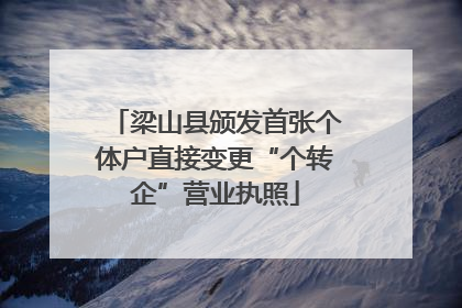 梁山县颁发首张个体户直接变更“个转企”营业执照