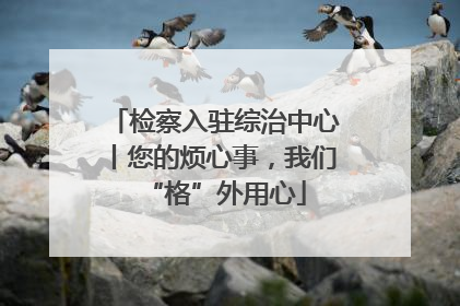 检察入驻综治中心丨您的烦心事，我们“格”外用心