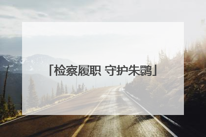 检察履职 守护朱鹮