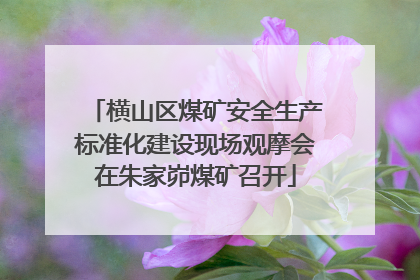 横山区煤矿安全生产标准化建设现场观摩会在朱家峁煤矿召开