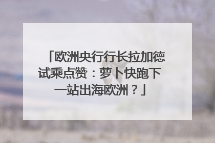 欧洲央行行长拉加德试乘点赞：萝卜快跑下一站出海欧洲？