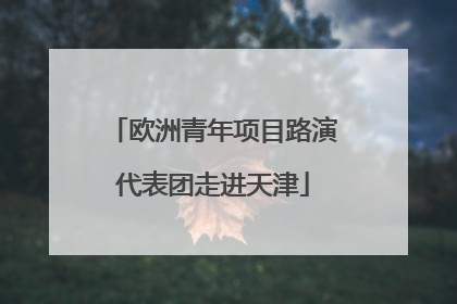 欧洲青年项目路演代表团走进天津