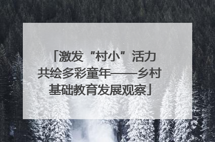激发“村小”活力 共绘多彩童年——乡村基础教育发展观察