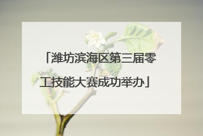 潍坊滨海区第三届零工技能大赛成功举办