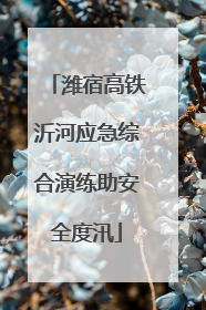 潍宿高铁沂河应急综合演练助安全度汛